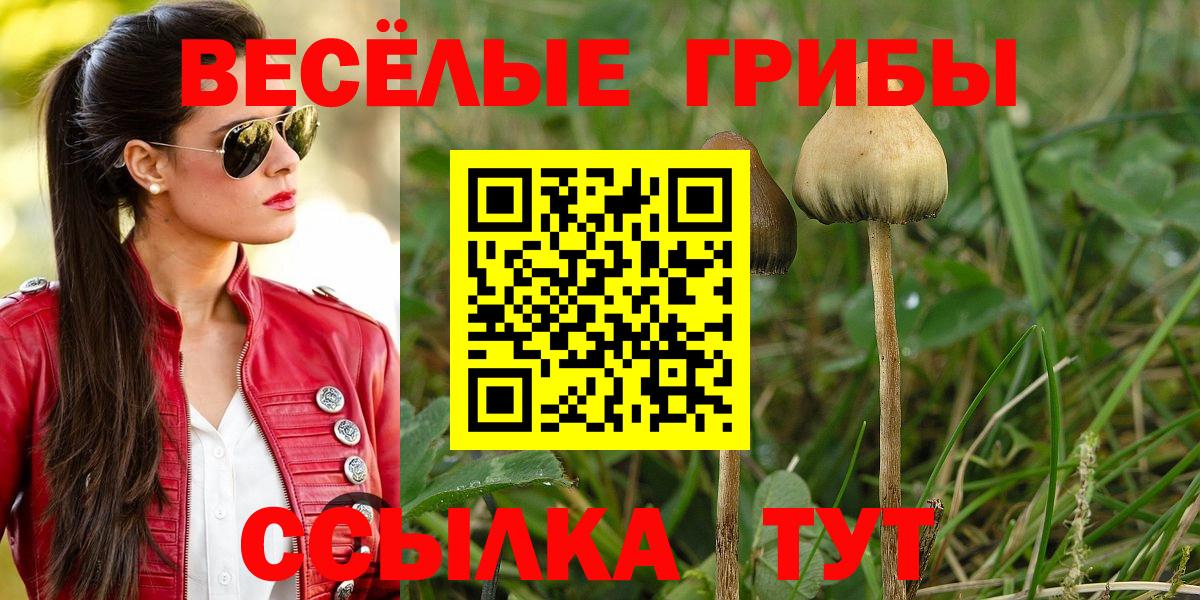 Бошки Шишки Отрадное