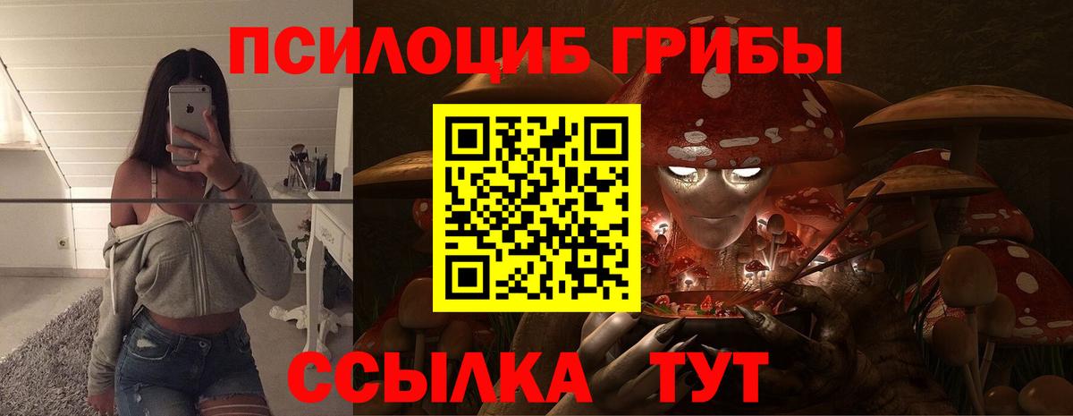 Отрадное  Псилоцибиновые грибы мухоморы  что такое наркотик  Вход с VPN  Псилоцибиновые грибы Psilocybine cubensis 